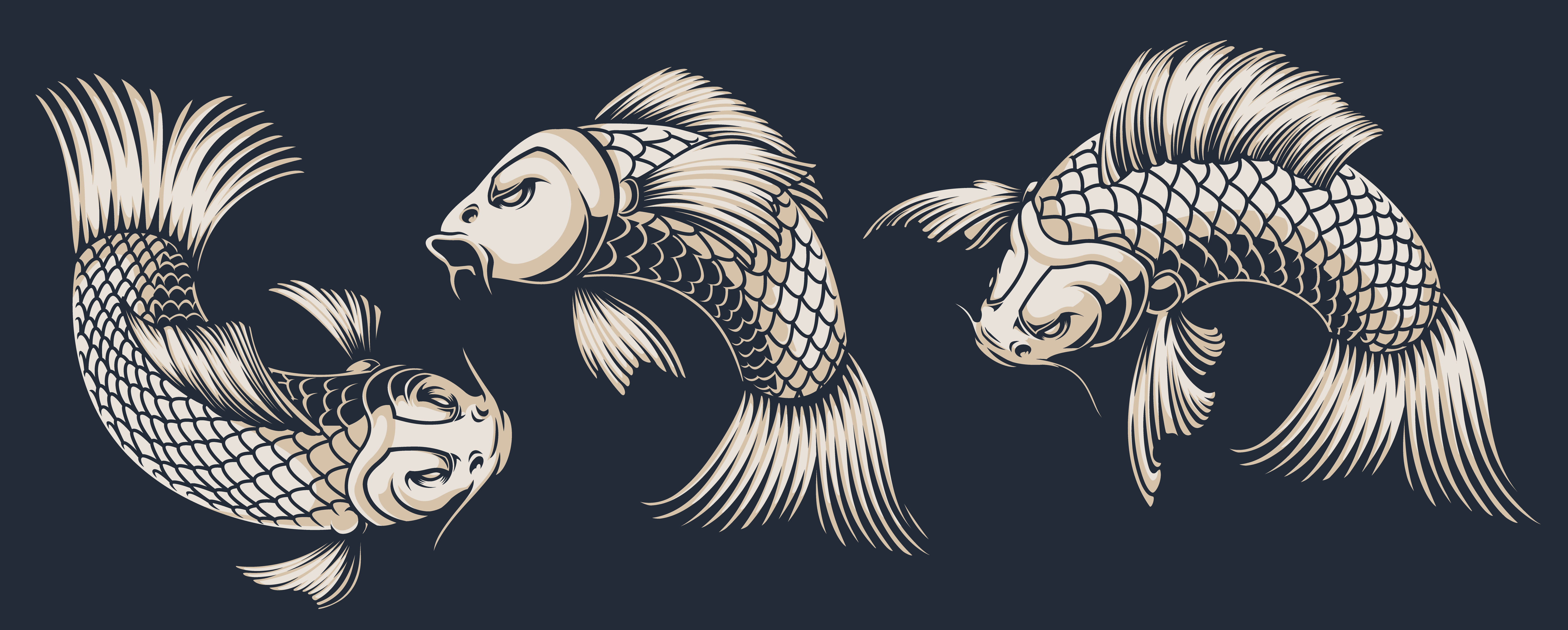 Set of koi carp illustrations 560667 Vector Art at Vecteezy