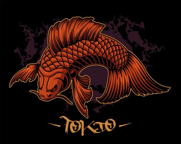 Vector illustration of a koi carp