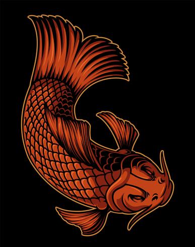 Vector illustration of koi carp