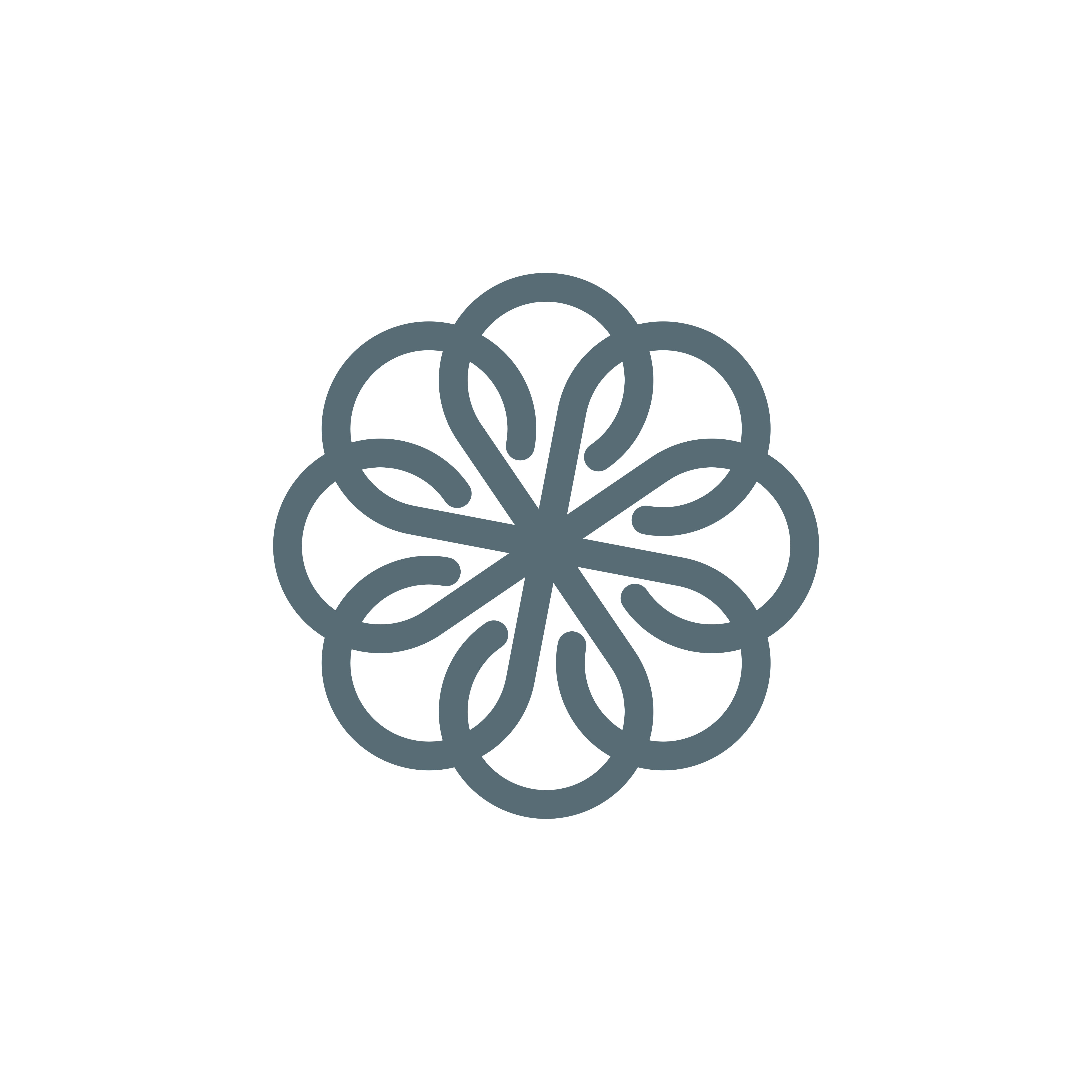 floral logo design