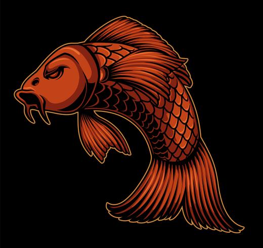 Vector illustration of koi carp