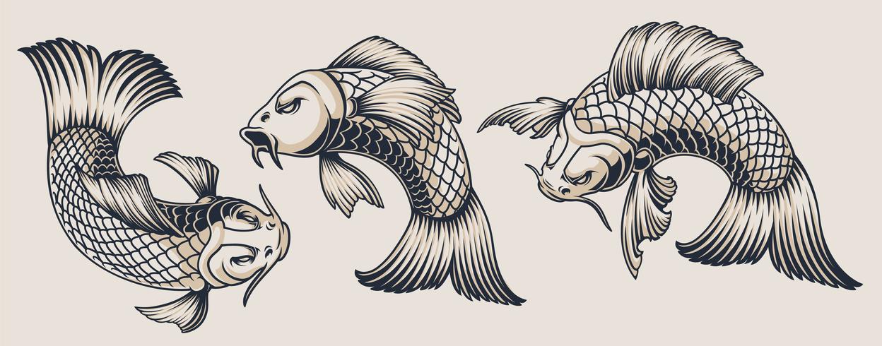 Set of koi carp illustrations vector