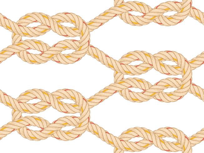 Seamless pattern with rope bending. vector