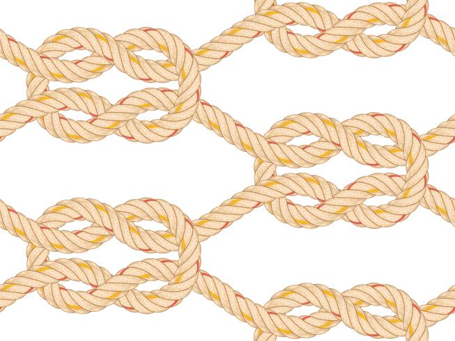 Seamless pattern with rope bending. vector