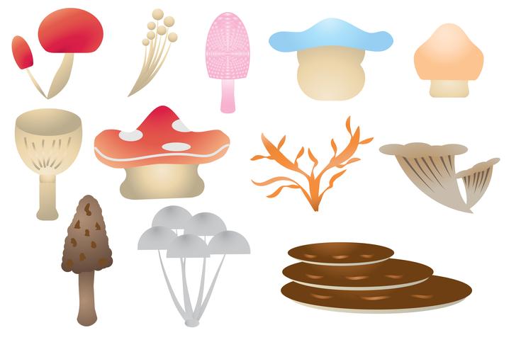 Mushroom Collection White Background vector