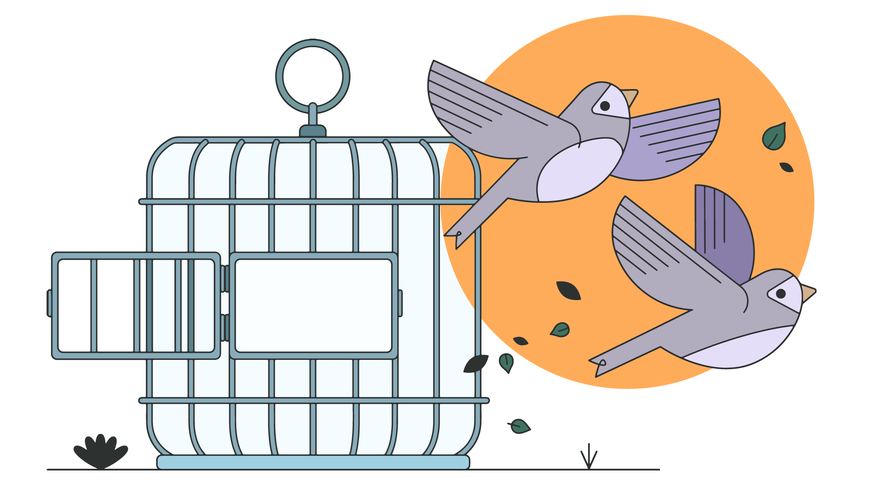 Free Birds Vector