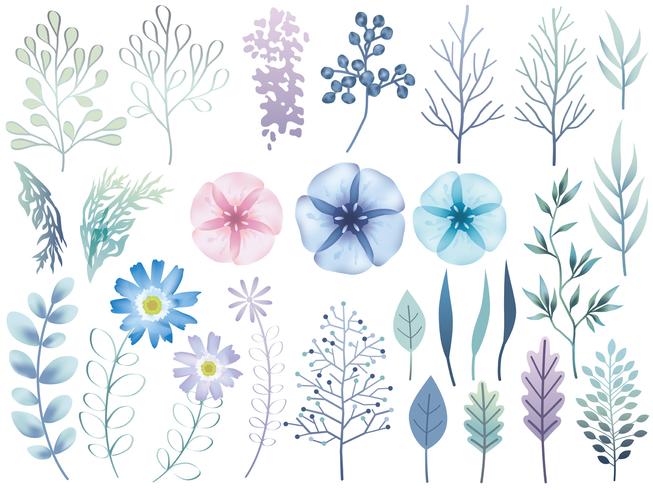 Set of assorted botanical elements isolated on a white background. vector