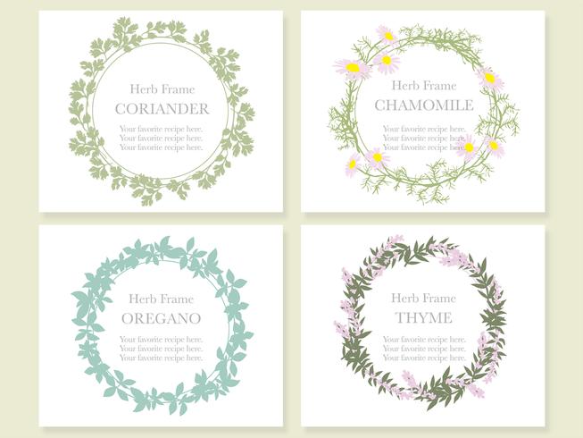 Set of four assorted frames with various herbs coriander, chamomile, oregano, and thyme. vector