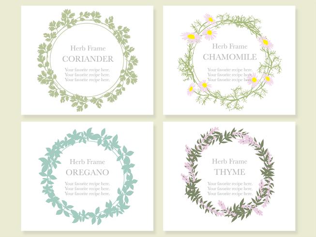 Set of four assorted frames with various herbs coriander, chamomile, oregano, and thyme. vector