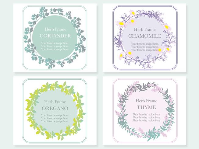 Set of four assorted frames with various herbs coriander, chamomile, oregano, and thyme. vector