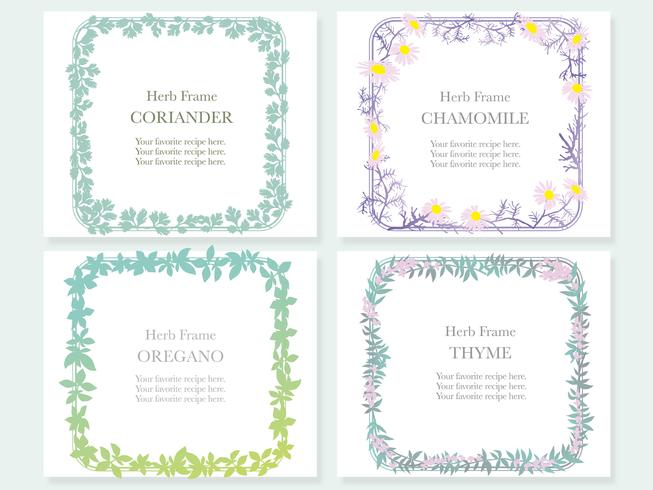 Set of four assorted frames with various herbs coriander, chamomile, oregano, and thyme. vector