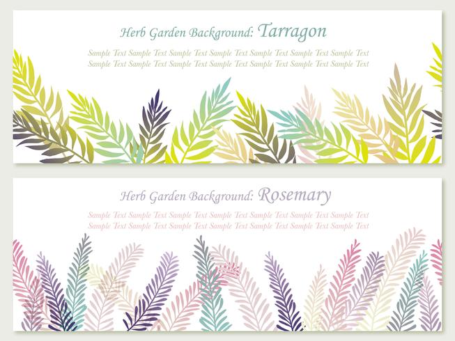 Set of two vector seamless background illustrations with herbs rosemary and tarragon.