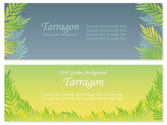 Set of two vector background illustrations with tarragon. 