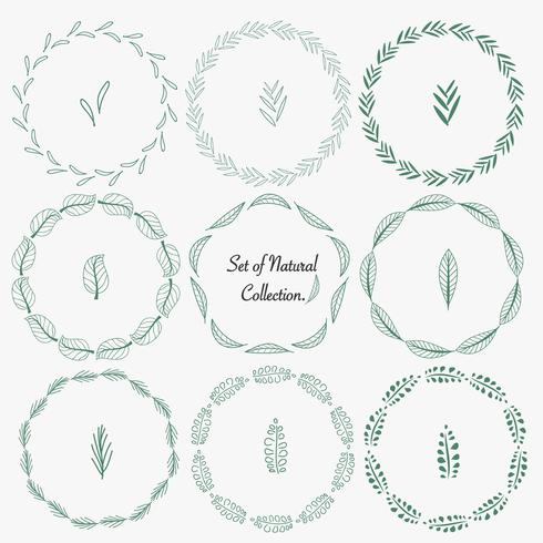 Set Of Hand Drawn Round Frames For Decoration. Vector Natural Collection.	