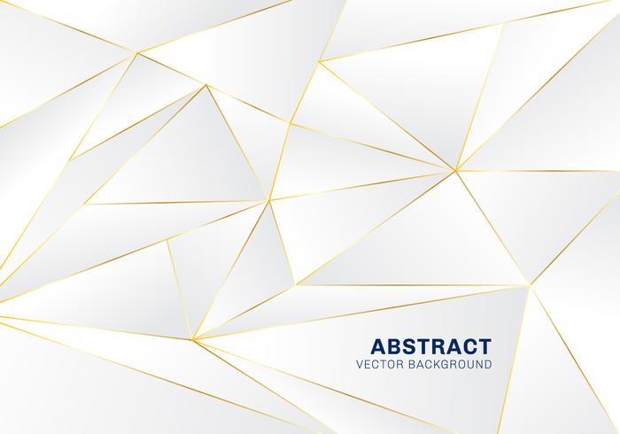 Abstract polygonal pattern luxury on white and gray header background with golden lines. vector