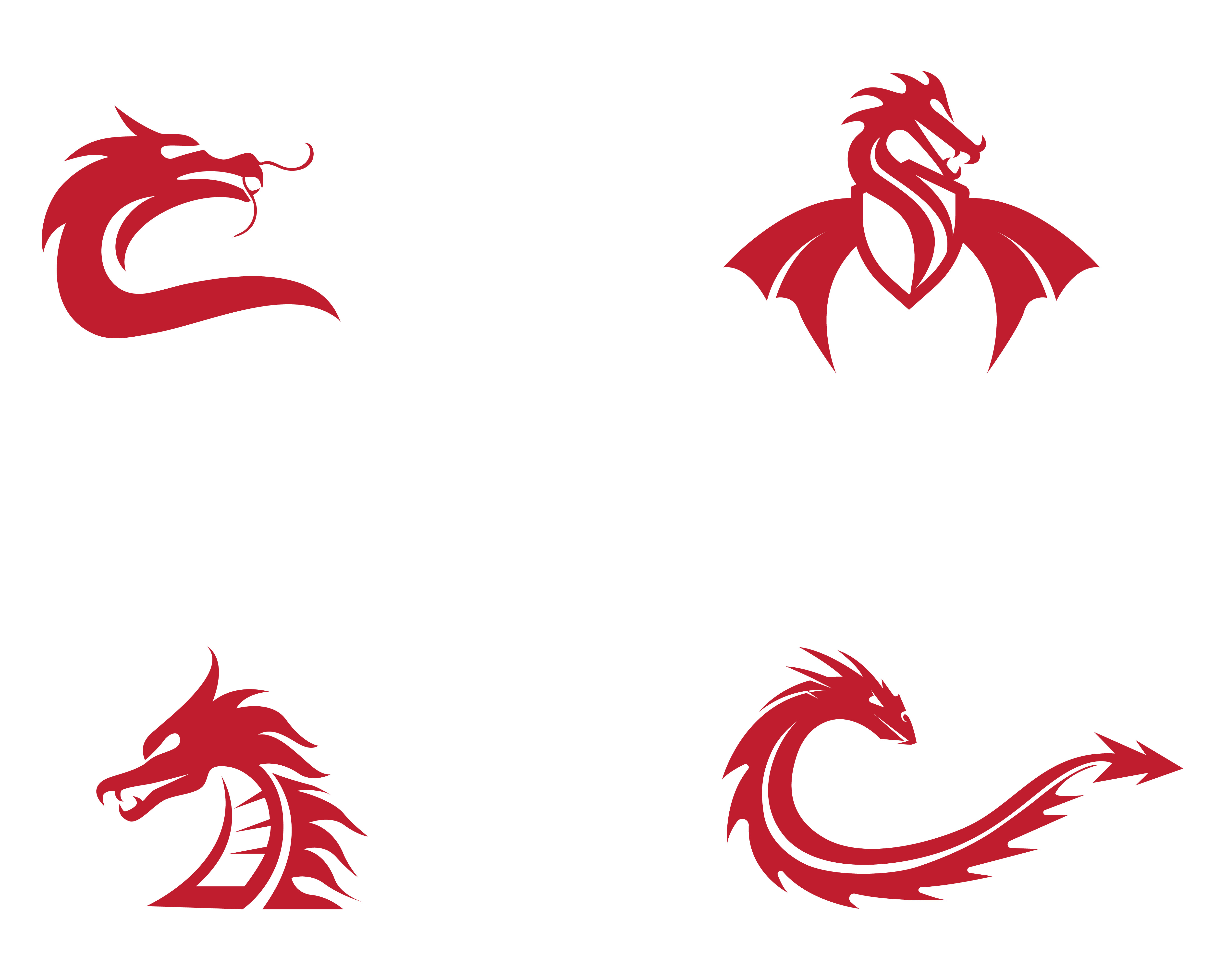 Black Dragon Icon