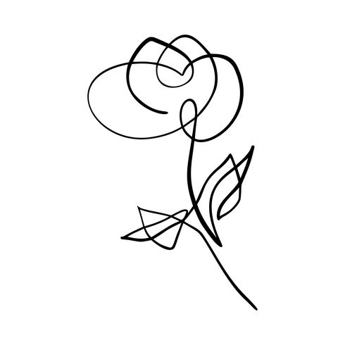 Continuous line hand drawing calligraphic vector flower rose concept logo beauty. Scandinavian spring floral design element in minimal style. black and white