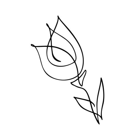 Logotipo de la flor del tulipán. Línea continua mano dibujo concepto de vector caligráfico. Elemento de diseño floral de primavera escandinavo en estilo minimalista. en blanco y negro