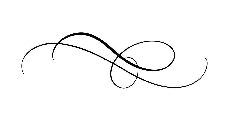 Vector calligraphy element flourish. Hand drawn divider for page ...