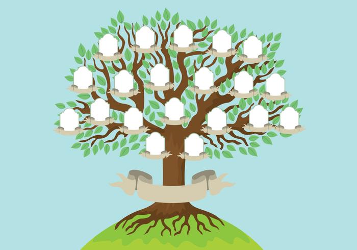 Plantilla de árbol genealógico vector