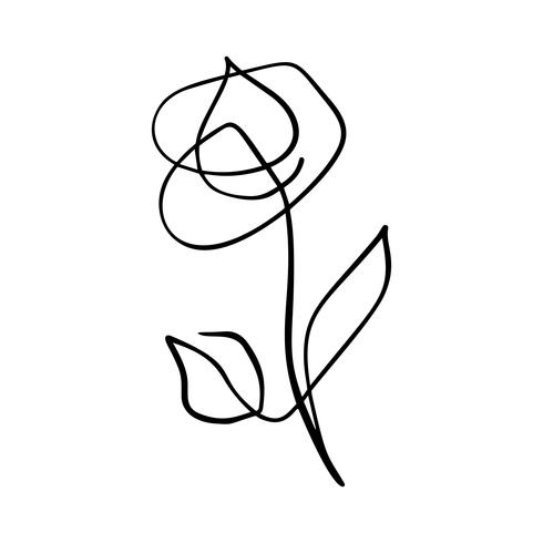 Continuous line hand drawing calligraphic vector flower rose concept logo beauty. Scandinavian spring floral design element in minimal style. black and white