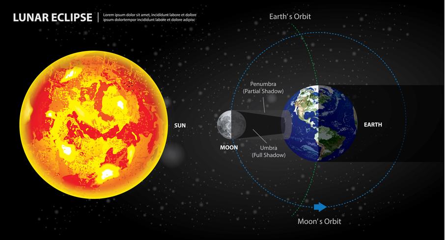 Ilustración vectorial eclipses lunares sol tierra y luna vector
