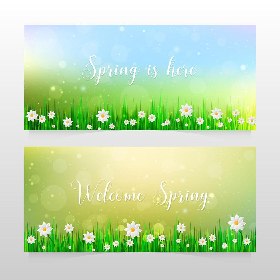 Banners de primavera con hierba y flores blancas. vector