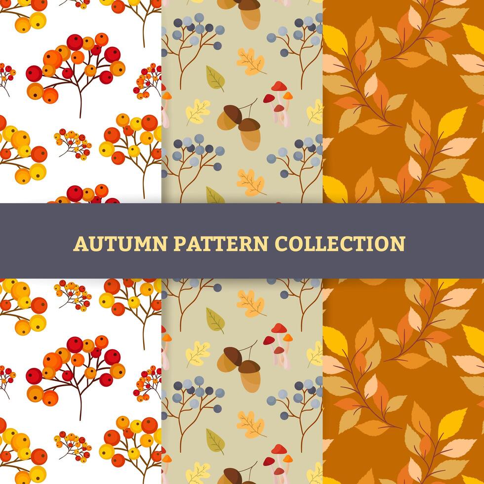 Hand draw autumn patterns vector