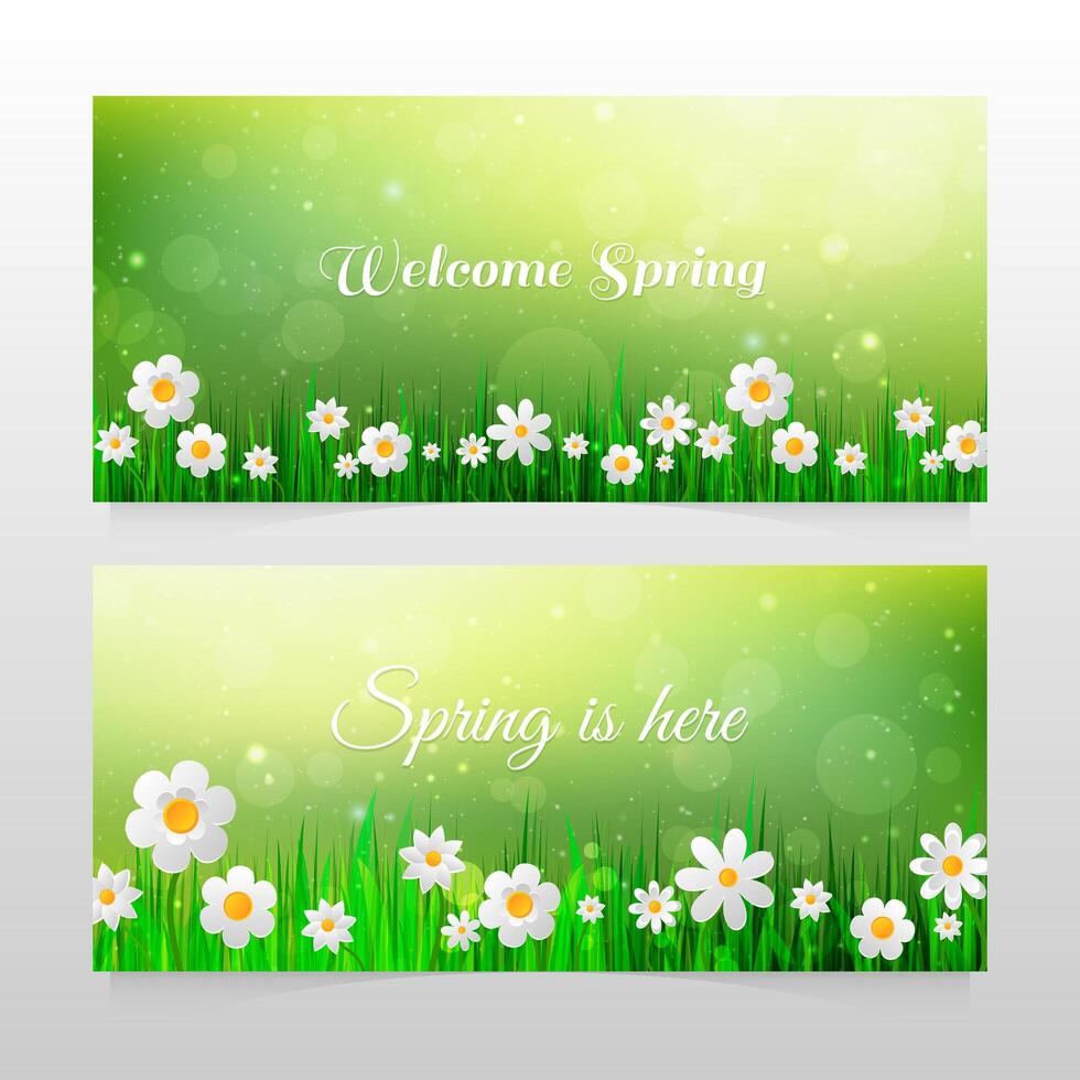 Banners de primavera con hierba y flores blancas. vector