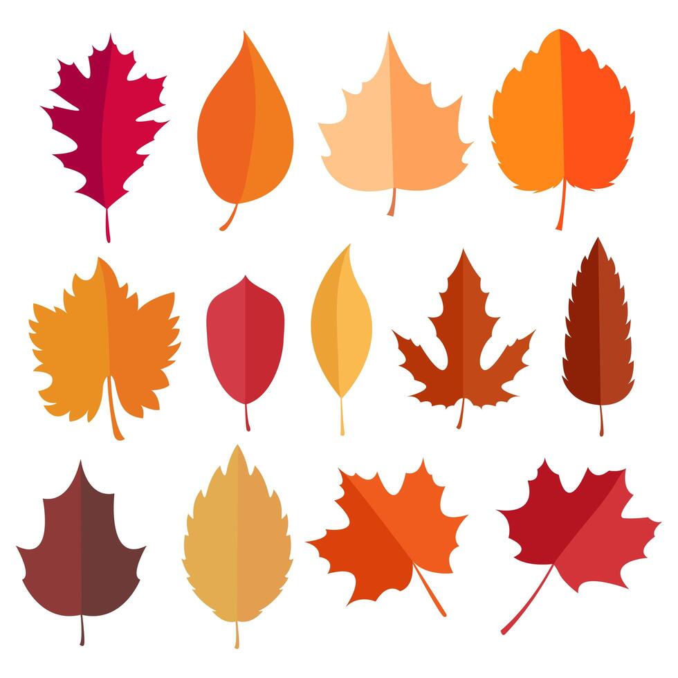 Colección de elementos de otoño vector