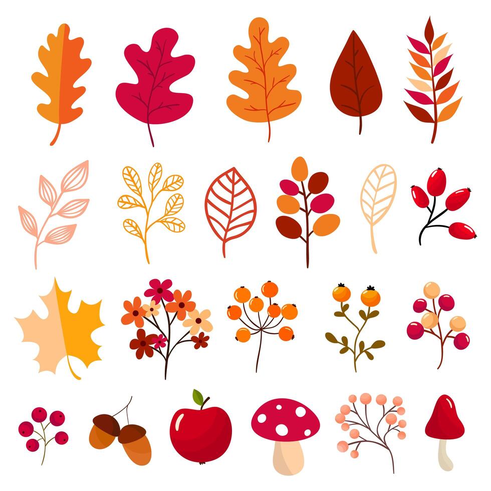 Autumn elements collection vector