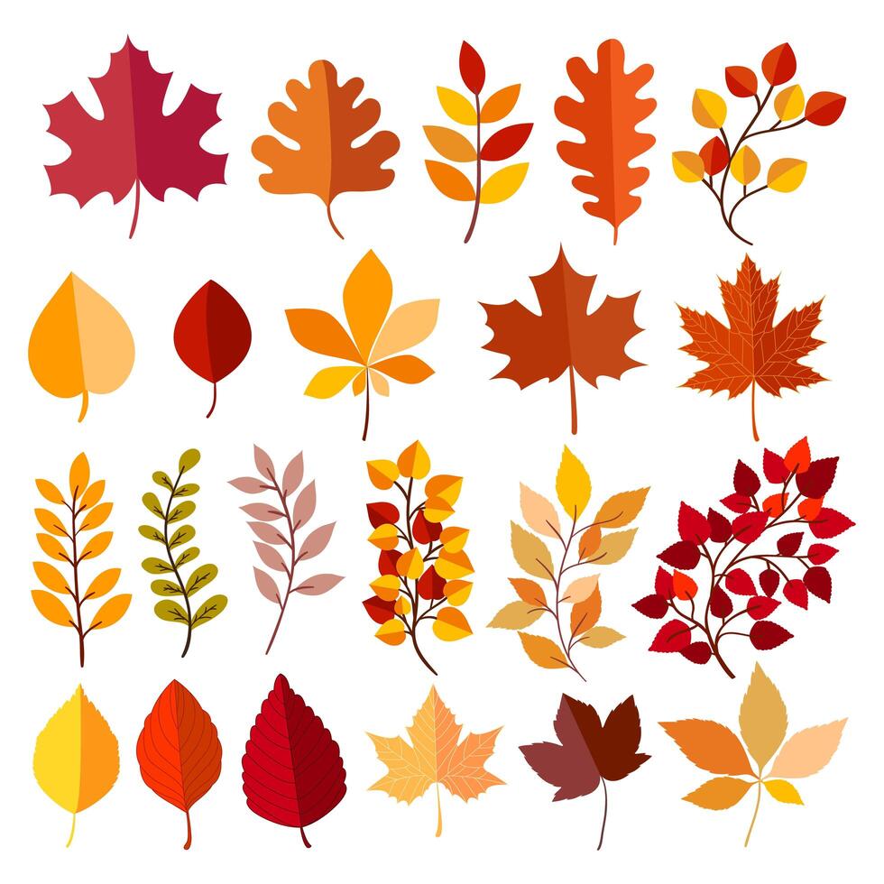 Colección de elementos de otoño vector