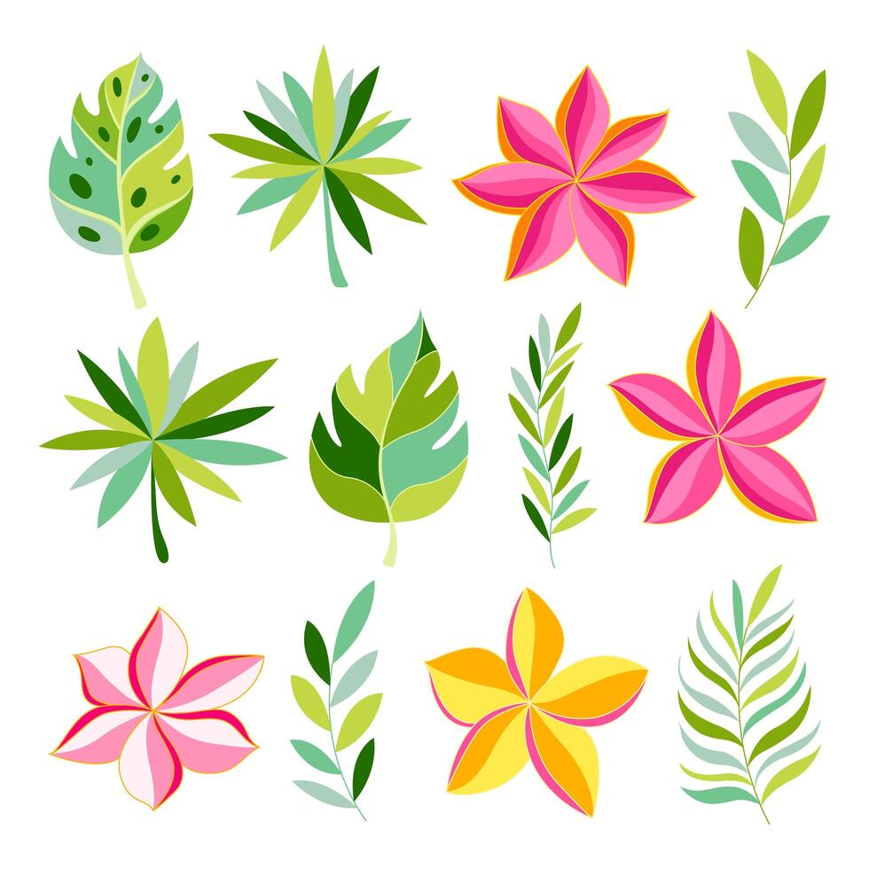 Tropical collection with exotic flowers and leaves. vector