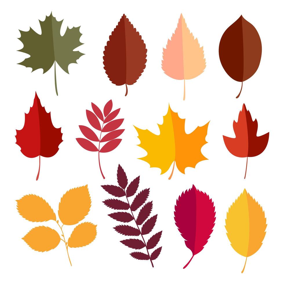 Autumn elements collection vector