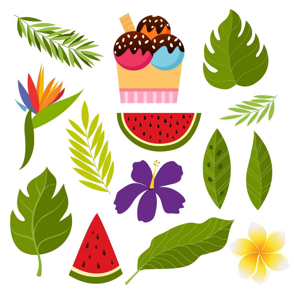 Colección tropical con flores exóticas y hojas. vector