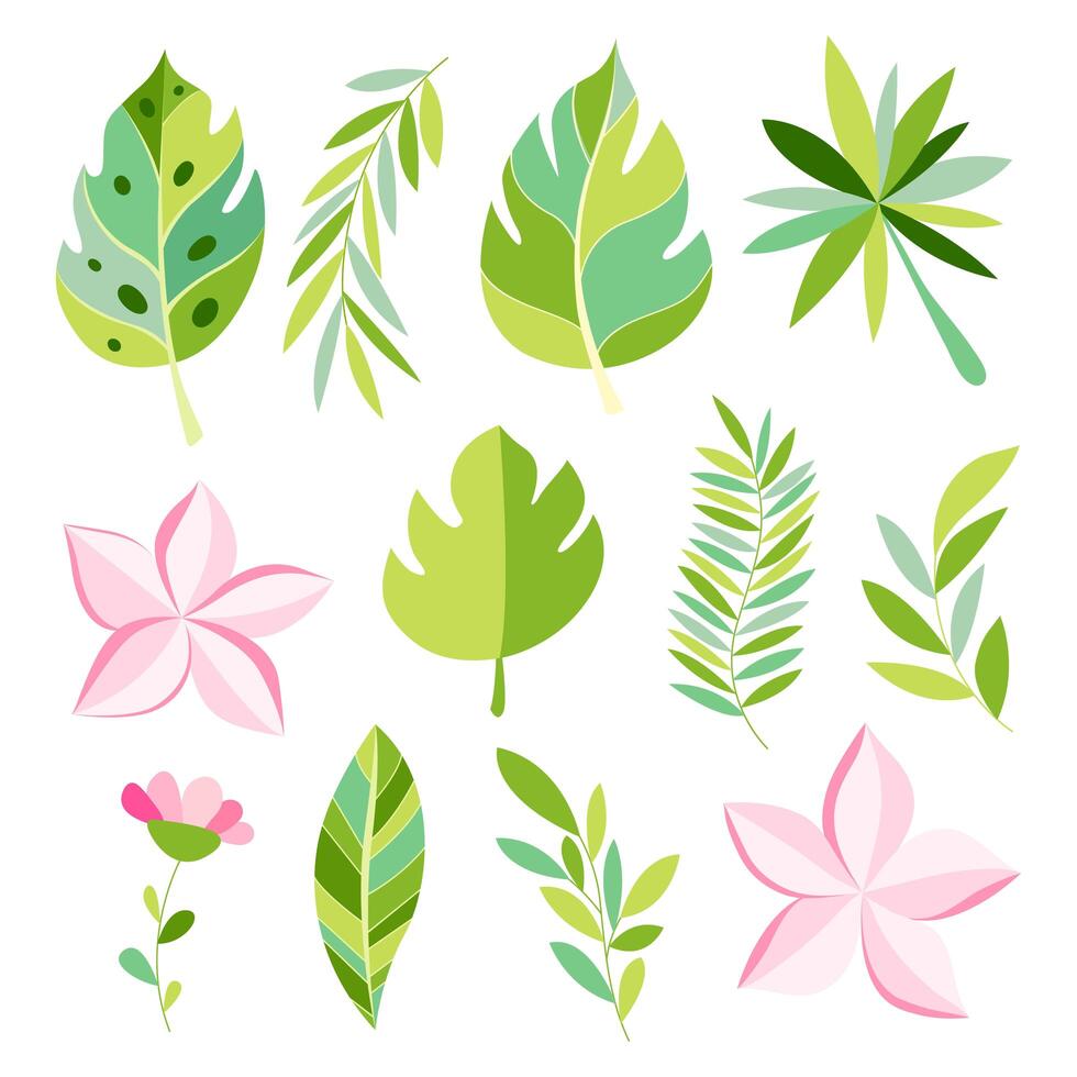 Tropical collection with exotic flowers and leaves. vector