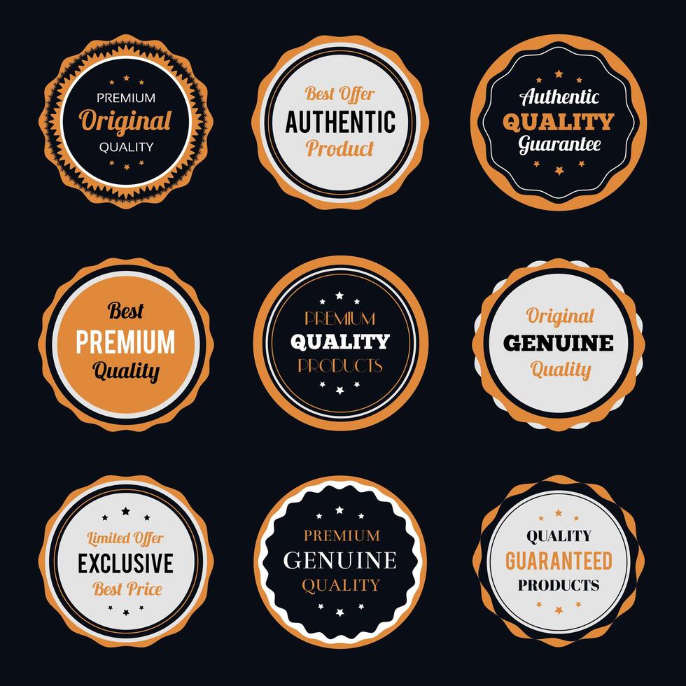 Retro vintage badges set vector