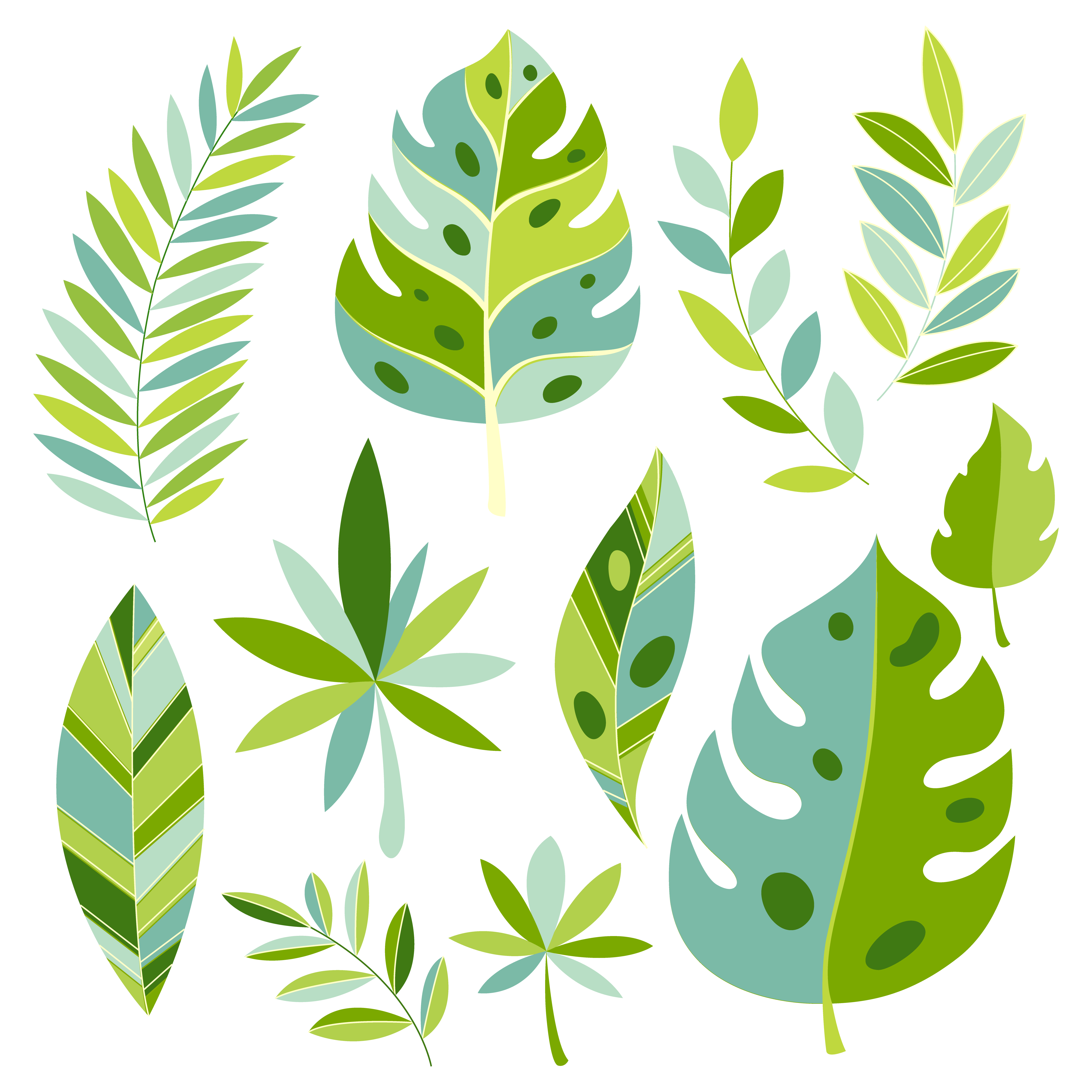Vector tropical plants and leaves. Botanical exotic leaves ...