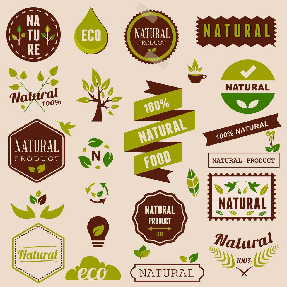 Conjunto ecológico de elementos de diseño natural, etiquetas y distintivos. vector