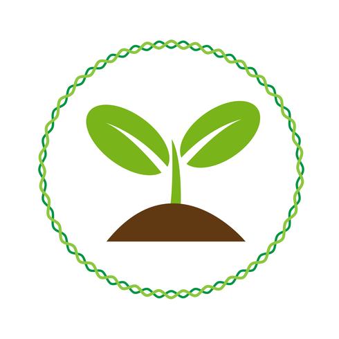 Plant tree icon vector