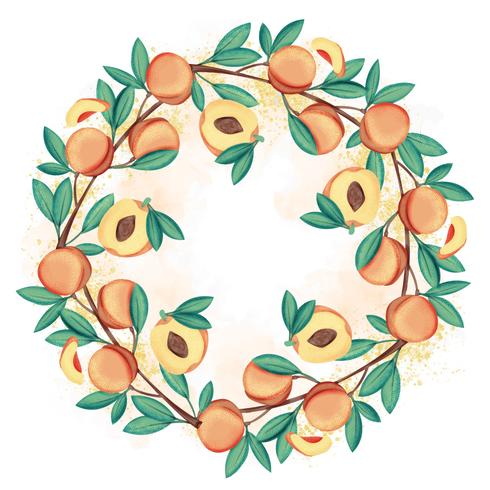 Vector Hand Drawn Peach Frame