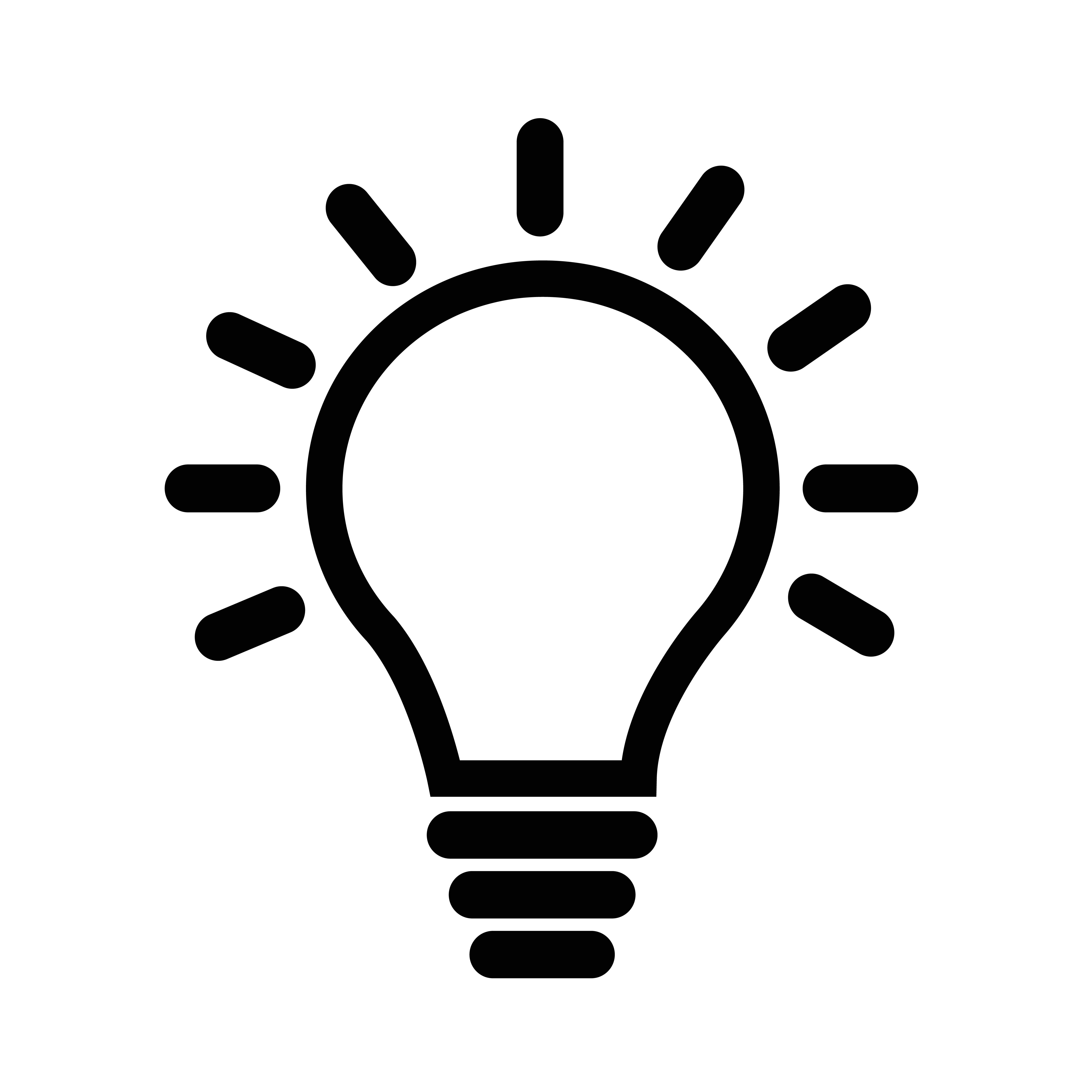 presentation lightbulb icon