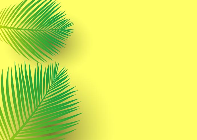 Hojas de palmera sobre un fondo amarillo brillante vector