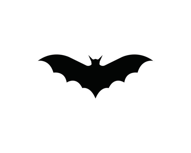 Bat logo  and symbols template vector