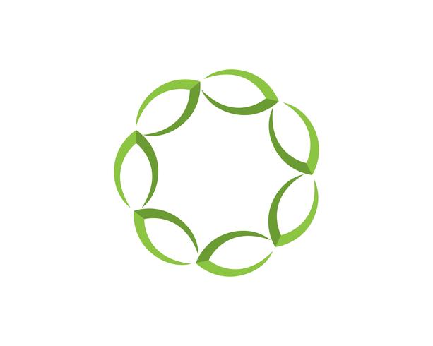 Leaf floral patterns logo and symbols on a white background vector