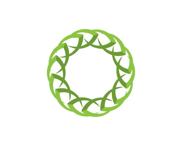 Leaf floral patterns logo and symbols on a white background vector