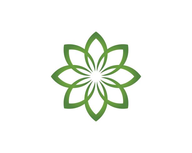 Leaf floral patterns logo and symbols on a white background vector