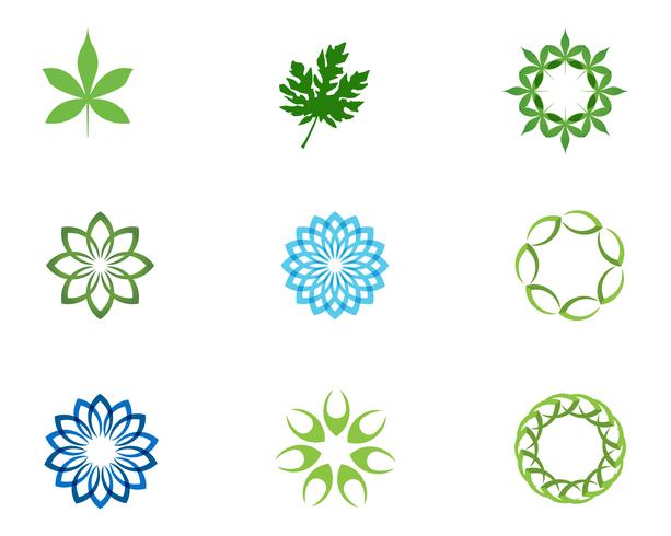 Hoja de motivos florales logo y símbolos sobre un fondo blanco vector