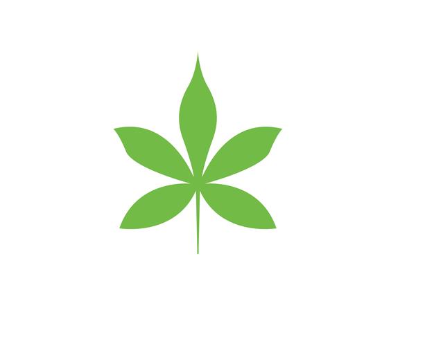Leaf floral patterns logo and symbols on a white background vector