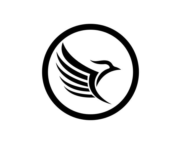 Wings bird sign plantilla abstracta iconos aplicación vector